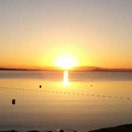 El Vivero Del Mar Menor *