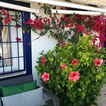 Feriehus El Vivero Del Mar Menor La Manga