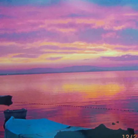 El Vivero Del Mar Menor