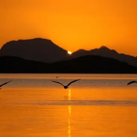El Vivero Del Mar Menor La Manga