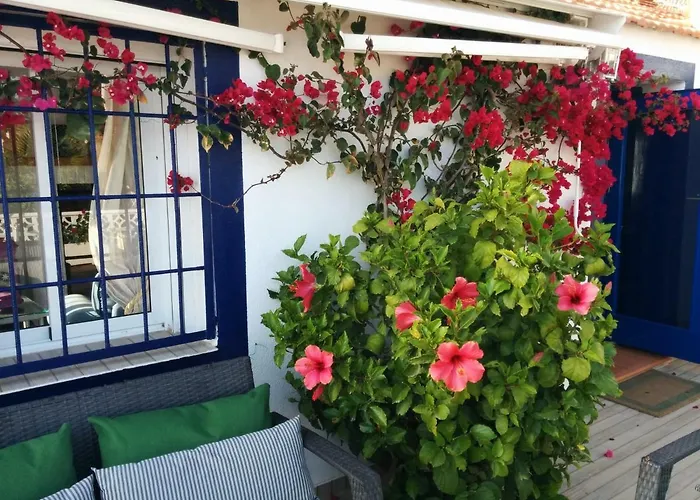 別荘 El Vivero Del Mar Menor ラ・マンガ・デル・マール・メノール