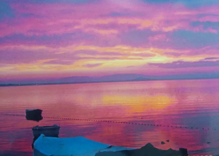 El Vivero Del Mar Menor