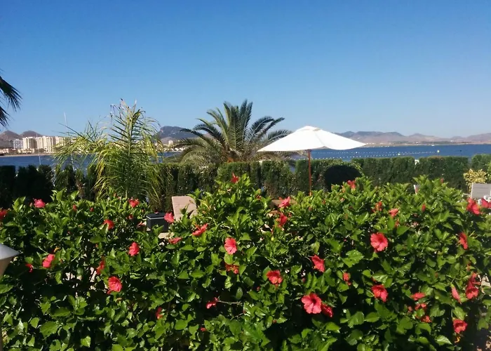 El Vivero Del Mar Menor *