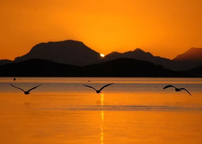 El Vivero Del Mar Menor Ла-Манга-дель-Мар-Менор