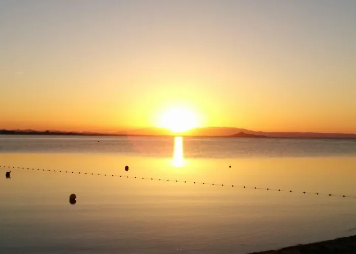 El Vivero Del Mar Menor *